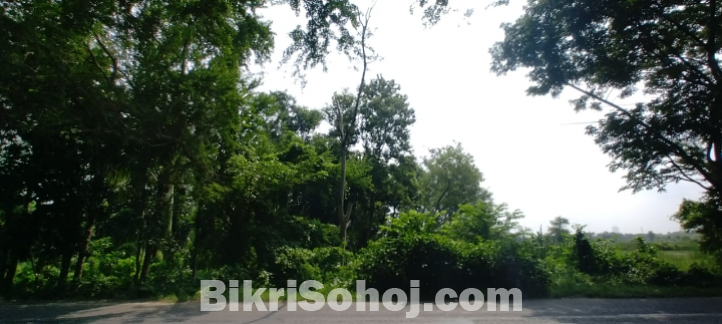 খুলনার সেরা লোকেশনে দক্ষিণ-মুখী প্লট বিক্রয়!